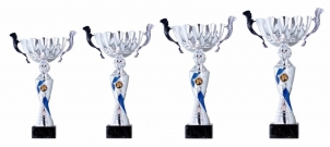 0063 Copa esport estàndard