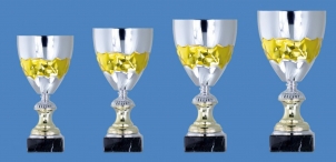 0069 Copa esport estàndard