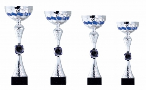 0074 Copa esport econòmiques