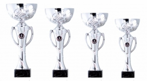 0080 Copa esport econòmiques