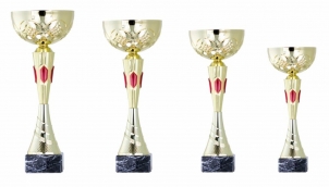 0101 Copa esport econòmiques