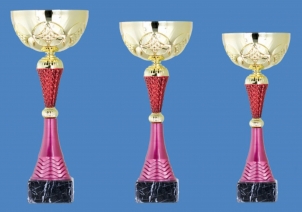 0107 Economic sport cup