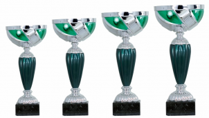 0120 Copa esport econ&ograve;miques