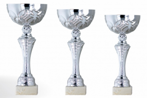 0121 Copa esport econ&ograve;miques