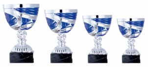 0127 Copa esport econ&ograve;miques