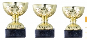 0141 Copa esport econòmiques