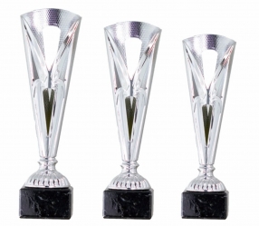 0155 Copa esport econ&ograve;miques