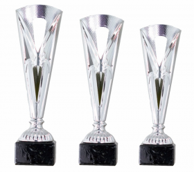 0156 Copa esport econ&ograve;miques