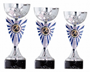 0159 Copa esport econ&ograve;miques