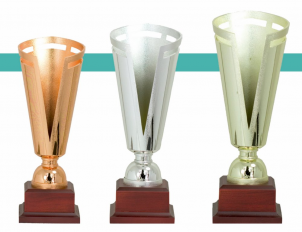 0160 Copa esport econ&ograve;miques