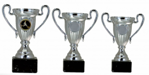 0171 Copa esport econ&ograve;miques