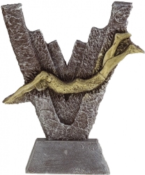 2321 Trophies Swimming