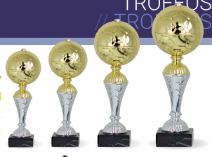 2533 Trofeo F&uacute;tbol