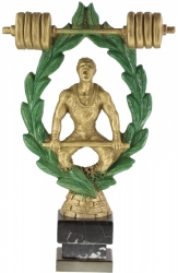 2848 Trophies Weightlifting