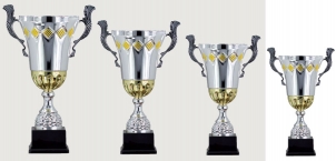 0312 Copa deporte estandar