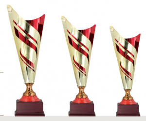 0317 Copa deporte calidad