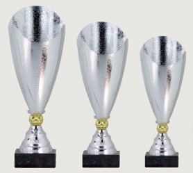 0321 Copa Esport Estàndard