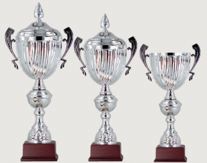 0302 Copa deporte calidad