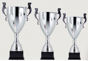 0305 Copa deporte calidad