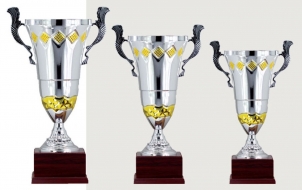 0308 Copa deporte calidad