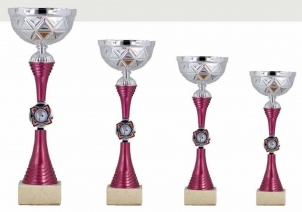 0364 Copa Esport Econòmica