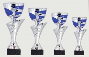 0380 Copa Esport Econòmica