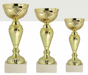 0411 Copa deporte Económica