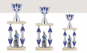 0498 Coupelles de colonnes